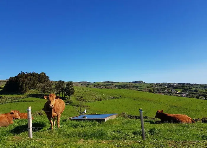 Apartament Quinta Do Calvario *