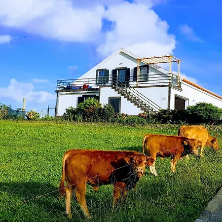 公寓 Quinta Do Calvario Lajes das Flores