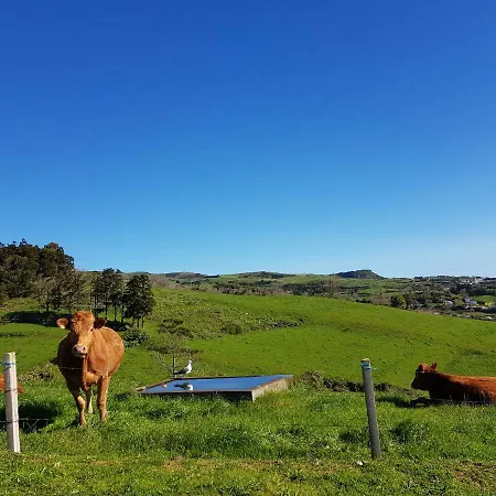 דירה Quinta Do Calvario *