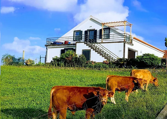 Διαμέρισμα Quinta Do Calvario Lajes das Flores